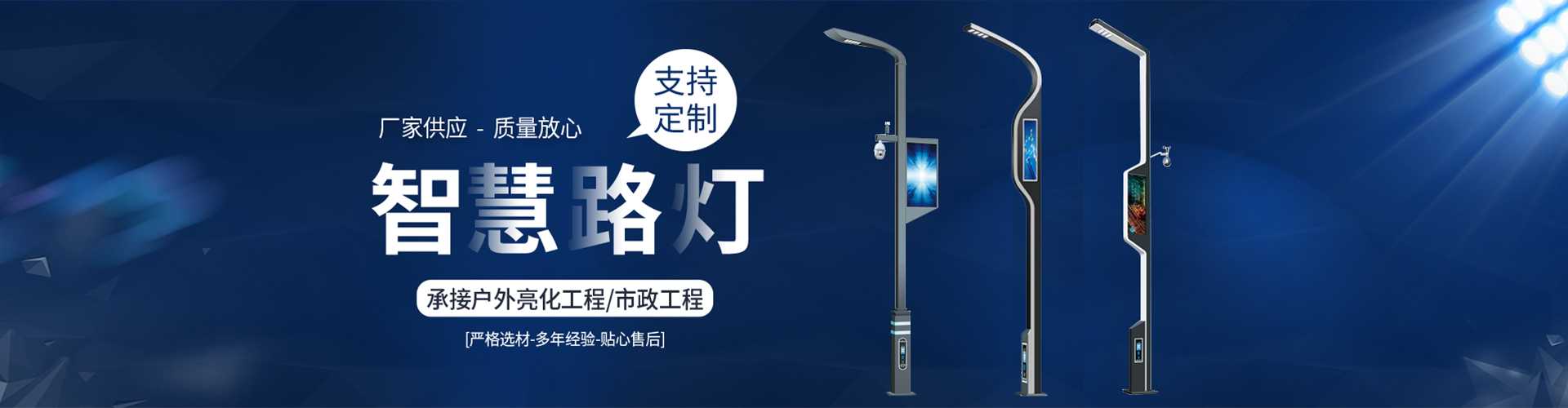 安顺市太阳能路灯定制厂家